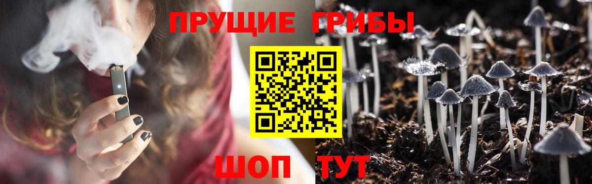 Псилоцибиновые грибы мухоморы  Вход с VPN  Ногинск 